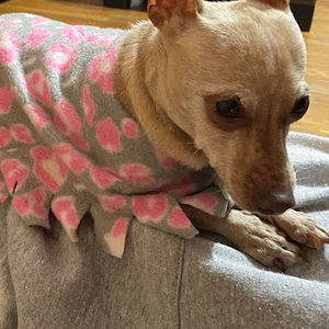 Meet your Posher, Alejandro